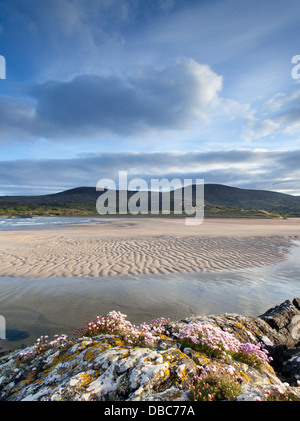 Der Strand von Derrynane in der Nähe von Caherdaniel auf dem Ring of Kerry, Süd-West-Irland Stockfoto