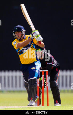 Leicester, UK. Sonntag, 28. Juli 2013.  Aktion von FriendsLife t20 Nordgruppe Cricket match zwischen Leicestershire Foxes und Yorkshire Wikinger. Bildnachweis: Graham Wilson/Alamy Live-Nachrichten Stockfoto