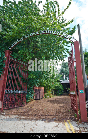 Camley Street Naturpark Camden London UK Stockfoto