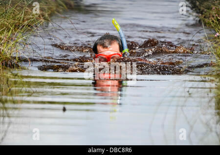 Dungannon, Nordirland, 28. Juli 2013 - ein männlichen Konkurrenten schwimmt den Kurs 2013 Nordirland Bog Schnorcheln Meisterschaft Credit: Stephen Barnes/Alamy Live News Stockfoto