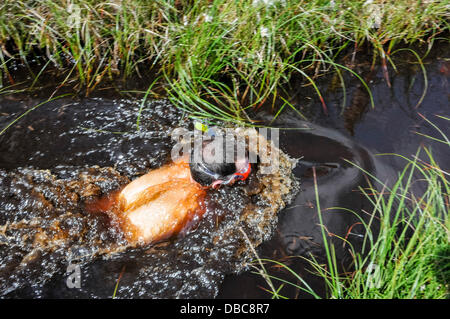 Dungannon, Nordirland, 28. Juli 2013 - ein männlichen Konkurrenten schwimmt den Kurs 2013 Nordirland Bog Schnorcheln Meisterschaft Credit: Stephen Barnes/Alamy Live News Stockfoto