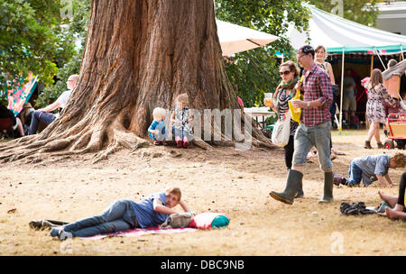 Malmesbury, Großbritannien. 28. Juli 2013. Menschen entspannen Sie sich in das Arboretum beim WOMAD-Festival in Charlton Park in der Nähe von Malmesbury in Wiltshire. Die World Music Festival zieht fast 40.000 Menschen, die ländliche Lage. Bildnachweis: Adam Gasson/Alamy Live-Nachrichten Stockfoto