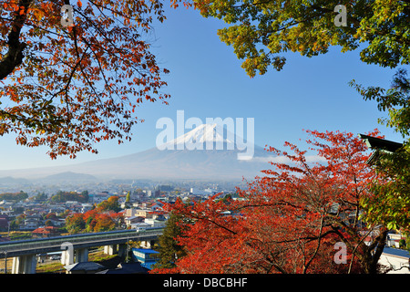 Mt. Fuji mit Herbstfarben in Japan. Stockfoto