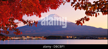 Mt. Fuji mit Herbstfarben in Japan. Stockfoto