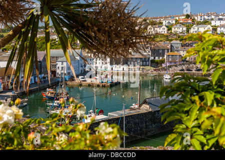 Häuser auf der Landzunge, die rund um den alten Fischerhafen, Mevagissey, Cornwall, England, UK, Europa Stockfoto