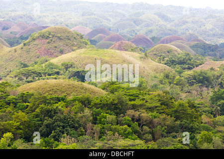 Blick über den berühmten Chocolate Hills auf Bohol Island, Philippinen Stockfoto