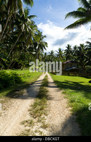 Ländlichen Landstraße auf Bohol Island, Philippinen Stockfoto