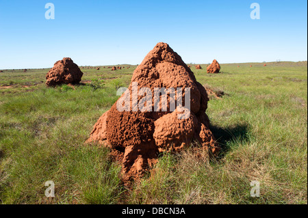 Termitenhügel in die "Stadt der Termiten" in der Küstenstadt Landzungen Onslow, Western Australia Stockfoto