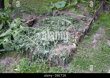 Kompost mit faulen Gemüse und Pflanzen Stockfoto