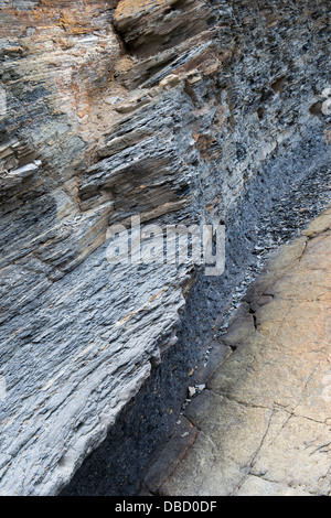 Schiefergestein. Northumberland Küste, England Stockfoto