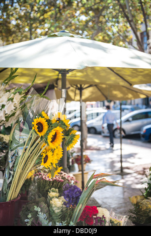 Eine Straße Szene, die Sonnenblumen auf ein Blumengeschäft Markt stall, während die Sonne wirft Schatten auf die Fahrbahn hinter. Stockfoto