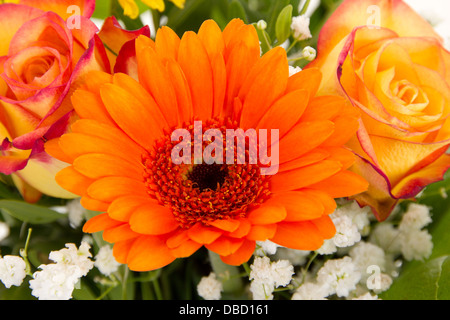 Schöne Gerbera und Rosen in bunter Strauß Stockfoto