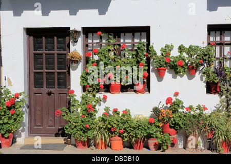 Malerischen Garten vor Hütte mit roten Topf Blütenpflanzen Stockfoto