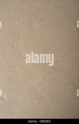 hohe Auflösung feiner Sand Textur perfekt für Hintergründe Stockfoto