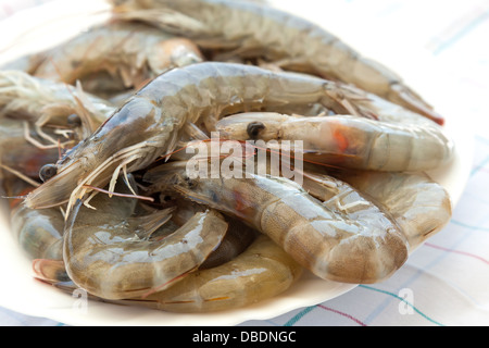 Rohe Garnelen auf weißen Teller Stockfoto