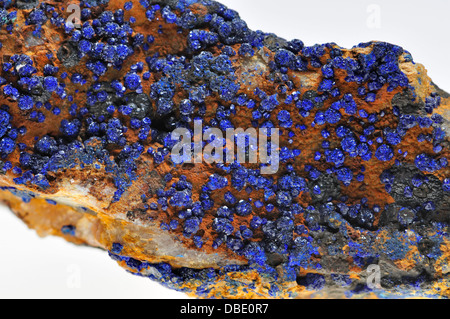 Azurit (Kupfer-Carbonat Hydroxid) Kristalle aus Sidi Ayed, Marokko. Erz aus Kupfer, auch als blaue Pigment verwendet Stockfoto