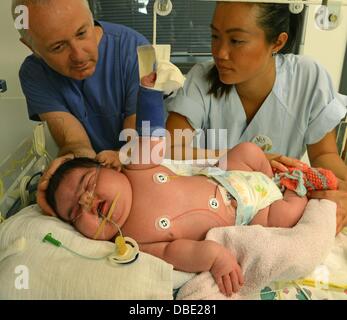 Leipzig, Deutschland. 29. Juli 2013. Facharzt Matthias Knuepfer und Krankenschwester ist mein kümmern sich um Deutschlands schwerste Neugeborene bis jetzt in der neonatalen Intensivstation des Universitätsklinikums in Leipzig, Deutschland, 29. Juli 2013. Das Mädchen wurde Jasleen außergewöhnliche 6.110 g wiegen und Messen 57,5 cm lang vor vier Tagen geboren. Die Mutter nur am Tag der Geburt im Krankenhaus angekommen und litt an einer unentdeckten Schwangerschaftsdiabetes. Foto: WALTRAUD GRUBITZSCH/Dpa/Alamy Live News Stockfoto