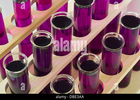 Linien der Reagenzgläser mit einer violetten Lösung im Inneren in ein Labor für medizinische Forschung in Reihen angeordnet Stockfoto