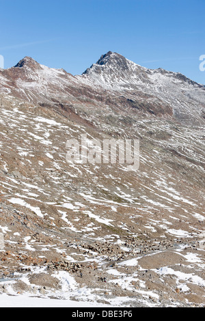 Transhumanz: die große Schafe wandern über die Ötztaler Alpen zwischen Südtirol, Italien, und Nord-Tirol, Österreich. Stockfoto