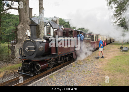 Dampfzug in Dduallt Station auf Erbe wieder Eisenbahn in Snowdonia-Nationalpark, Gwynedd, Nordwales, UK, Großbritannien Stockfoto