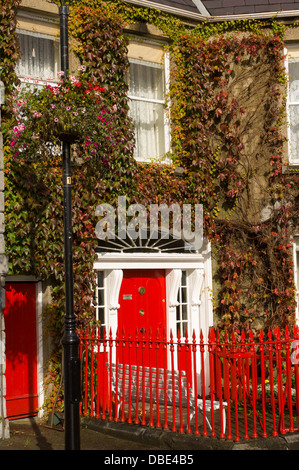 Efeu wächst auf ein Haus mit einem roten Eingangstür in der Stadt von Westport, County Clare, Irland Stockfoto