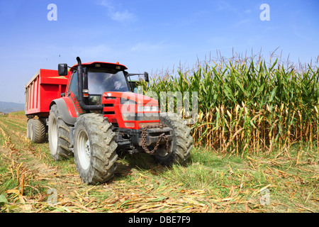 Landwirtschaft, Landwirtschaft Traktor Stockfoto