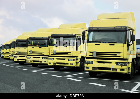 viele große gelbe LKW geparkt in Zeile Stockfoto