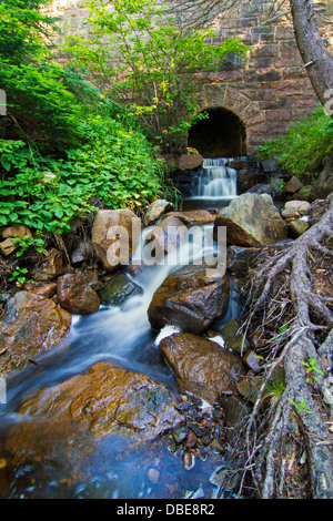 Kaskade im Park Loop Road - Acadia Nationalpark Stockfoto