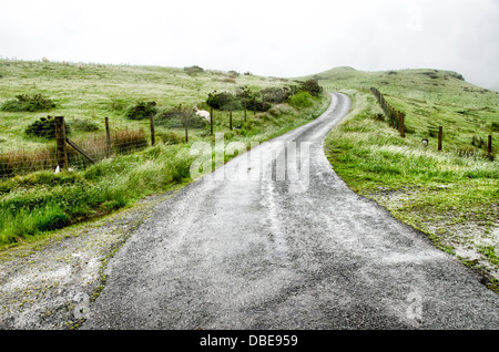Landstraße Snowdonia Nationalpark Wales Schafe auf nebligem Plateau | SNOWDONIA NATIONALPARK, Wales — Eine feuchte Schotterstraße windet sich über ein nebliges Plateau, das mit Drahtzäunen gesäumt ist, Teil der bewirtschafteten Landwirtschaft, die sich durch die Hochlande von Eryri zieht. Der Park erstreckt sich über 823 Quadratmeilen (2.130 km²) von Gwynedd und Conwy und unterstützt eine gemischte Wirtschaft aus Hügelbauernhofwirtschaft und Tourismus, die jährlich etwa 4 Millionen Besucher anzieht. Stockfoto