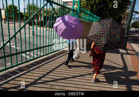 Rekord-Hitze in Chinatown. Frauen benutzen Sonnenschirme für Schatten. Los Angeles, Kalifornien Stockfoto