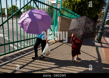 Rekord-Hitze in Chinatown. Frauen benutzen Sonnenschirme für Schatten. Los Angeles, Kalifornien Stockfoto