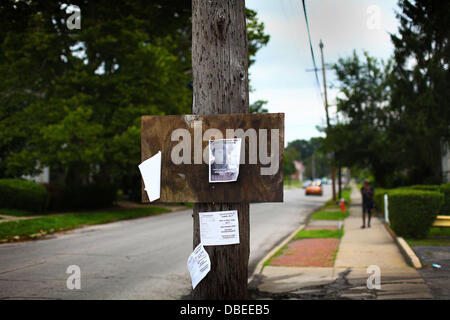 23. Juli 2013 - Cleveland, Ohio, USA - A fehlende Person Flyer von Shireloda Helen Terry hängt ein Telefonmast in der Nähe von East 146. St und St Clair. Die Familie setzt sich täglich und Hände Flyer gehofft, jemand habe Informationen über ihre Tochter. Der Vater der ein 18-j hrige Mädchen, vermisst, auf dem Heimweg von einem Ferienjob Anfang dieses Monats, bezeichnete den schrecklichen Moment, erfuhr er, dass seine Tochter ermordet worden war. Van Terry und seine Familie hatten übergeben worden, Flieger zu versuchen, Shirellda Helen Terry, als er, ihr Körper erfuhr war eine von drei fand am Samstag, den 27. Juli, 20 Stockfoto