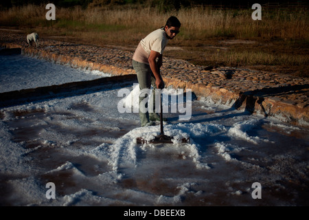Ein Arbeitnehmer nutzt einen hölzernen Rechen Salz Salz flach an den Salinas de Hortales Salz mine in Prado del Rey, Cadiz, Andal sammeln Stockfoto
