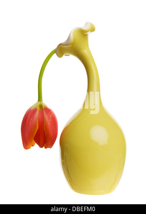 Eine sterbende und deprimiert aussehende Tulpe in einer gelben vase Stockfoto