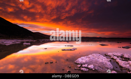 Abendlicht über Tuffstein am Mono Lake, Mono Basin National Scenic Area, Kalifornien USA Stockfoto