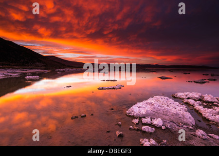 Abendlicht über Tuffstein am Mono Lake, Mono Basin National Scenic Area, Kalifornien USA Stockfoto