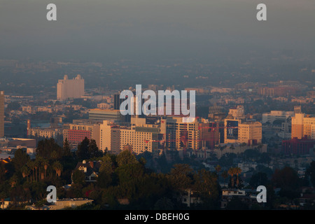 Hollywood, Blick vom Griffith Observatory, Los Angeles, California, Vereinigte Staaten von Amerika Stockfoto