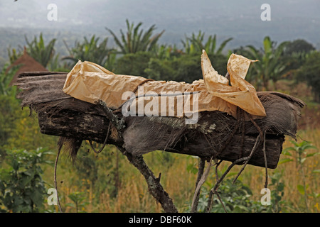 Honig-Produktion bei einer Genossenschaft in der westlichen Region von Äthiopien, Afrika Stockfoto