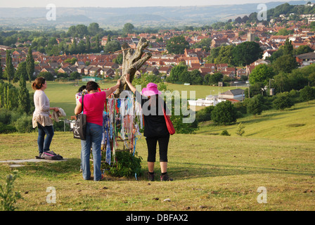 Heiligen Dornenbaum in Wearyall Hill, Glastonbury, Somerset. England-Großbritannien Stockfoto