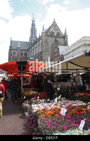 Blick auf den Markt und die St. Bavo Kirche, Haarlem Stockfoto