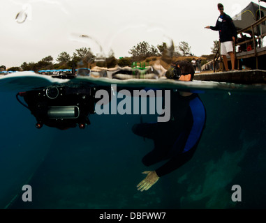 Ein autonomes Unterwasserfahrzeug (AUV) gebaut von Studenten der University of Florida Machine Intelligence Laboratory navigiert Stockfoto