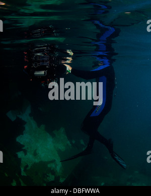 Ein autonomes Unterwasserfahrzeug (AUV) gebaut von Studenten der University of Florida Machine Intelligence Laboratory navigiert Stockfoto