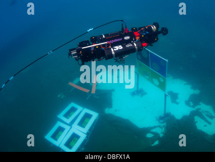 Ein autonomes Unterwasserfahrzeug (AUV) gebaut von Studenten der University of Florida Machine Intelligence Laboratory navigiert Stockfoto