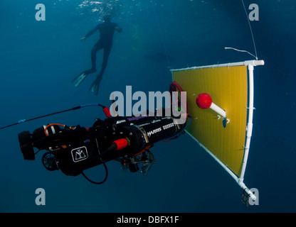 Ein autonomes Unterwasserfahrzeug (AUV) gebaut von Studenten der University of Florida Machine Intelligence Laboratory navigiert Stockfoto