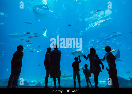 Menschen bewundern Fische im aquarium