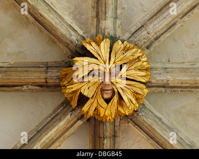 Ein grüner Mann Dach Boss im Osten gehen (1297-1318) der Norwich Kathedrale Priorat Klöster, Norfolk, England, trägt einen Wald Maske von möglicherweise verlässt. Stockfoto