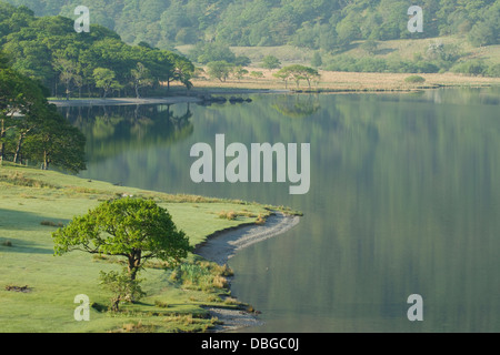 Crummock Water Reflections Nationalpark Lake District Cumbria, UK LA006140 Stockfoto