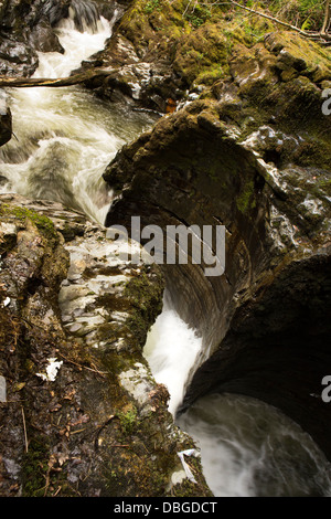 Großbritannien, Wales, Ceredigion, Teufelsbrücke, der Teufel Punchbowl, Kessel mit Wasser geformte Felsen Stockfoto