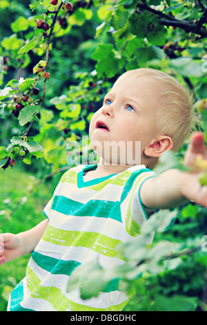 kleinen Jungen Essen Johannisbeeren Beeren im Hinterhof Stockfoto