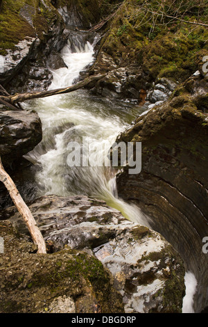 Großbritannien, Wales, Ceredigion, Teufelsbrücke, der Teufel Punchbowl, Kessel mit Wasser geformte Felsen Stockfoto